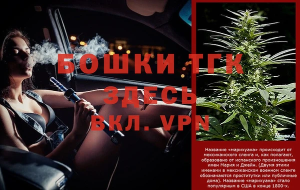 хмурый Белокуриха