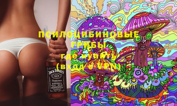 хмурый Белокуриха