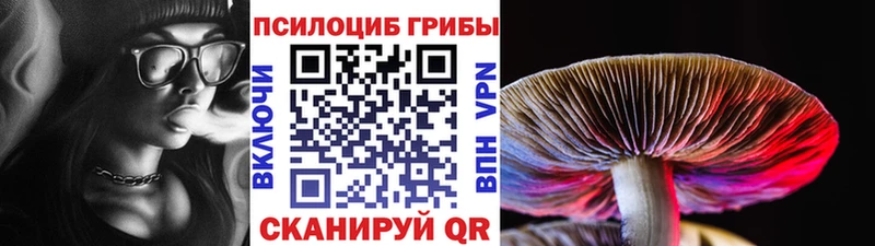 Купить где  Сухиничи  Псилоцибиновые грибы MAGIC MUSHROOMS 